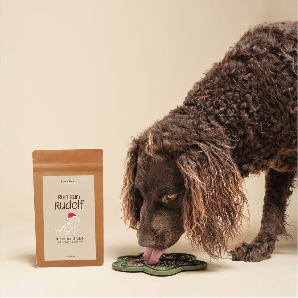 Run Run Rudolf Reindeer Shake for Dogs-1