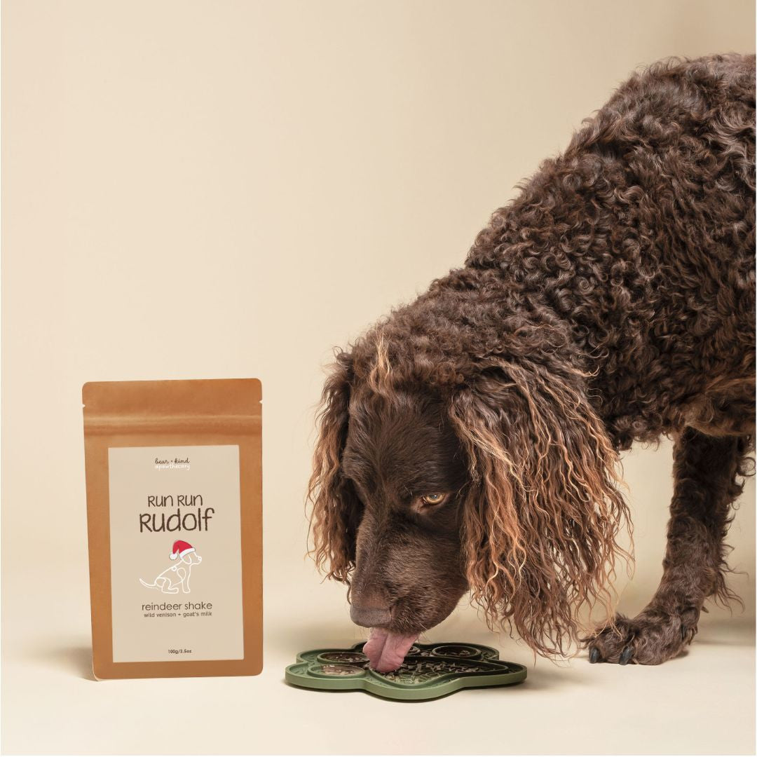 Run Run Rudolf Reindeer Shake for Dogs (Single-Serve Taster Packs)-1