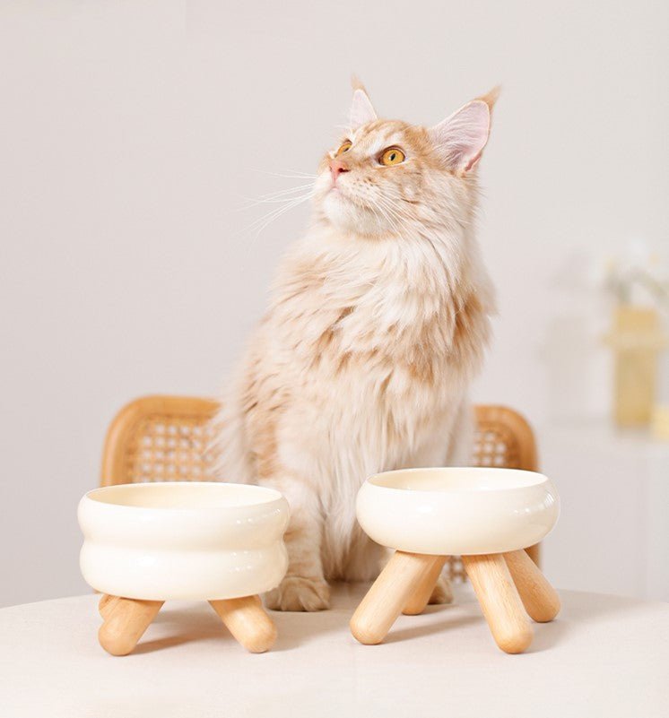 Gulu Elevated Ceramic Pet Water Bowl with Wooden Stand-0