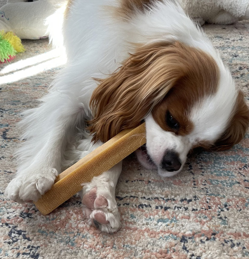 Kukuje Himalayan Dog Chew-1